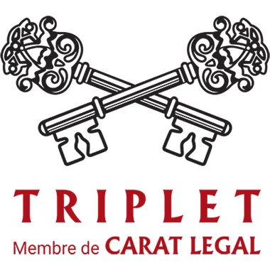 Photo de Maître Sophie  LAGAYETTE